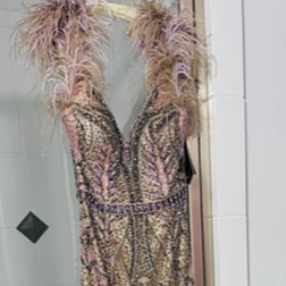 Prom gown with Feathers
